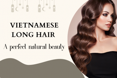 Vietnamese long hair - A perfect natural beauty