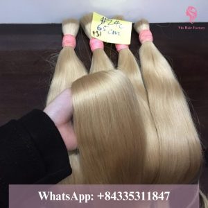 Best Quality Vietnamese Bulk Straight Hair #613 Color 5